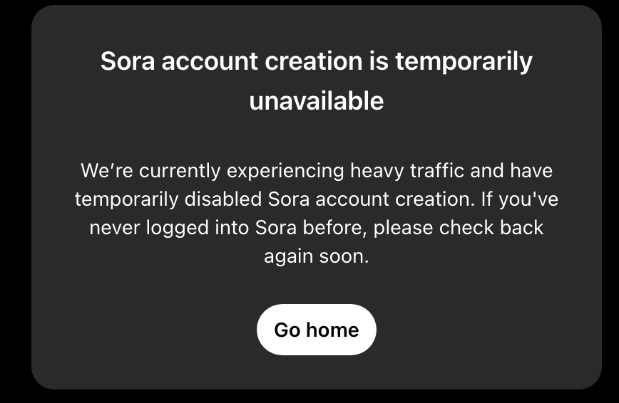 Sora登录报错
